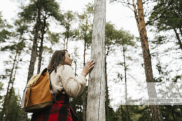 Weiblicher Wanderer stehend am Baum im Wald