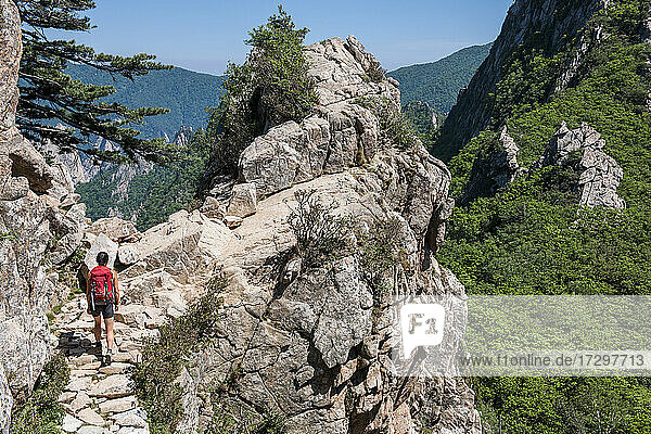 Frau beim Wandern über einen Bergrücken im Seoraksan-Nationalpark in Korea