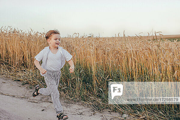Porträt eines glücklichen 5 Jahre kleinen niedlichen Jungen  trägt weißes Hemd läuft im Weizenfeld