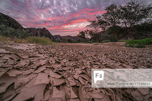 Sonnenuntergang im African Wildlife Corridor in Namibia