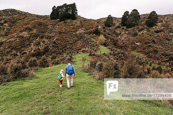 Rückenansicht von Vater und Sohn auf einem Wanderweg in Neuseeland