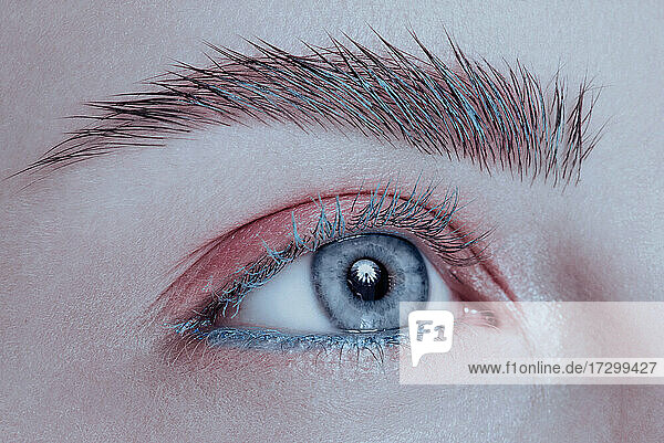 Schöne Makroaufnahme eines weiblichen Augen-Make-ups. Blaues Auge. Kreatives Make-up. Perfekte Form blaue Linie Make-up und lange Wimpern und buschige Augenbrauen. Kosmetika. Schöne Augen Make-up. Nahaufnahme