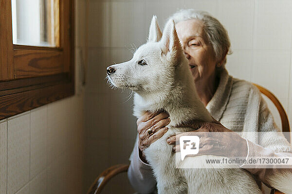 Ältere Frau umarmt zärtlich ihren weißen Siberian Husky Welpenhund