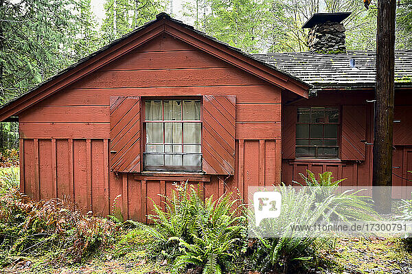 Rustikale rote Hütte im National Forest