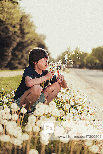 Young boy blowing dandelion flowers on a sunny summer day.