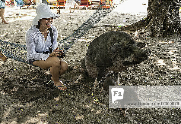 Frau besucht die Insel Koh Madsum und ihre Strandschweine