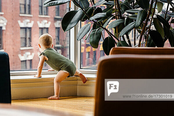 Neugieriges Kleinkind-Baby-Mädchen schaut aus dem Fenster in der Stadt