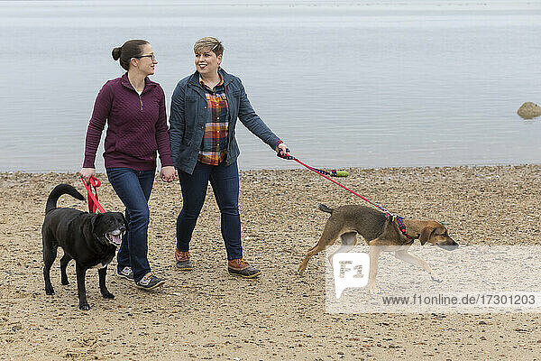 Gleichgeschlechtliches weibliches Paar hält sich an den Händen und geht mit den Hunden am Strand von Cape Cod spazieren