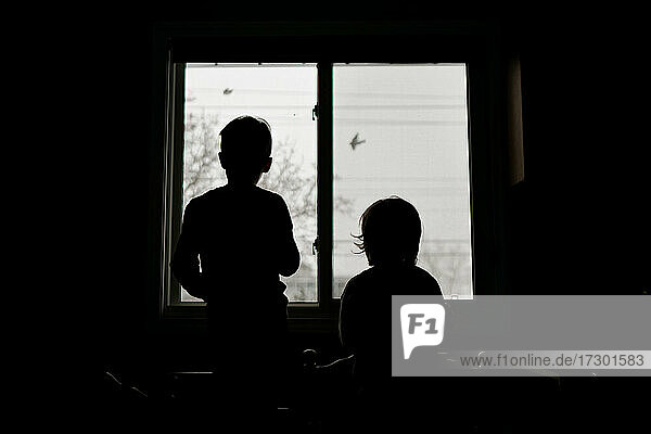 Zwei Kinder schauen aus ihrem Küchenfenster auf vorbeifliegende Vögel