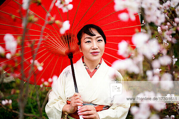Kimono-Frau und Kirschblüten