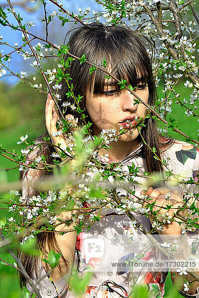Porträt eines Mädchens in der Kirschblüte
