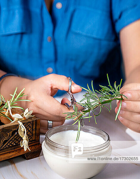 Frauenhände beim Schneiden von Rosmarin für die Zubereitung von alternativen Produkten