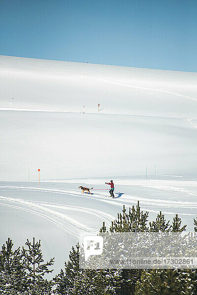 Schlittenhunde ziehen einen Mann mit Skiern durch den Schnee einen Hügel hinauf