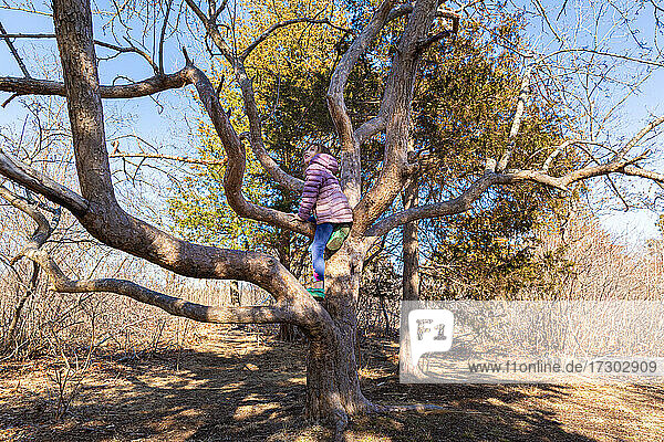 Kleines Mädchen schaut nach oben kletternden Baum