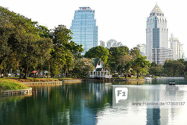 Thailand nature landscape  Bangkok metropolis view