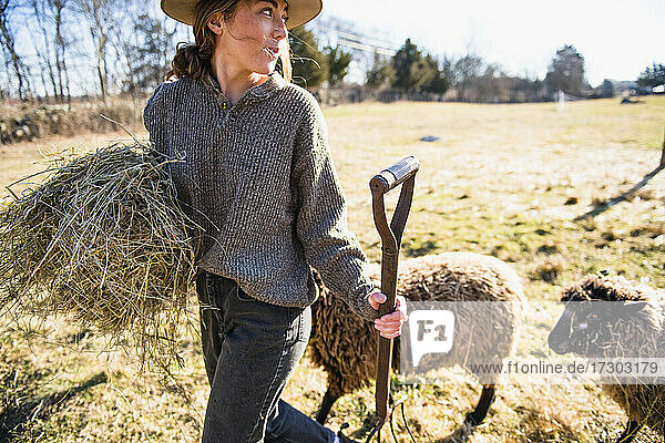 Frau mit Heu und Heugabel bei der Arbeit auf dem Bauernhof  die Schafe fütternd