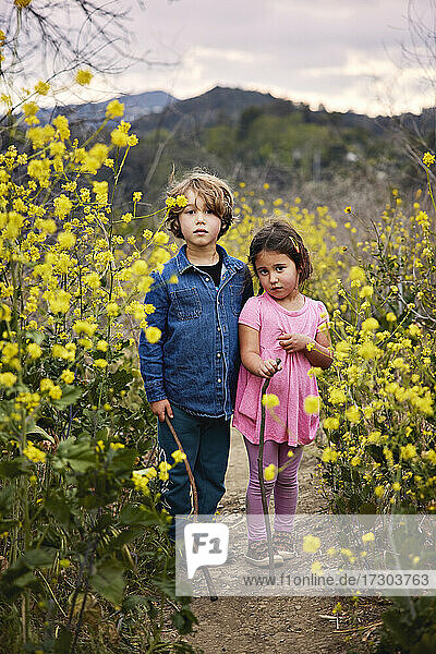 Portrait of cute brother and sister standing amidst yellow flowering plants