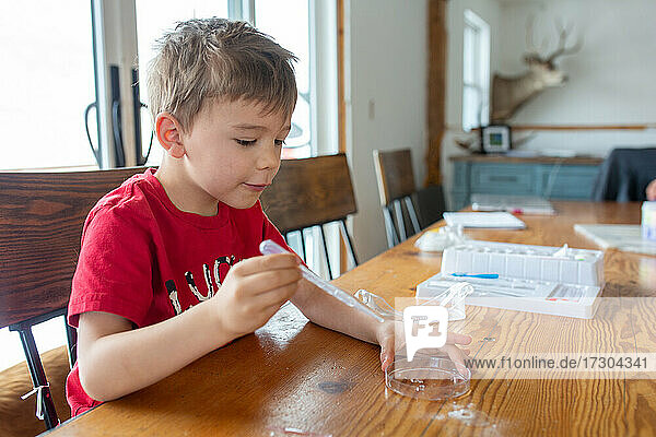 Boy doing science experiments at home at table