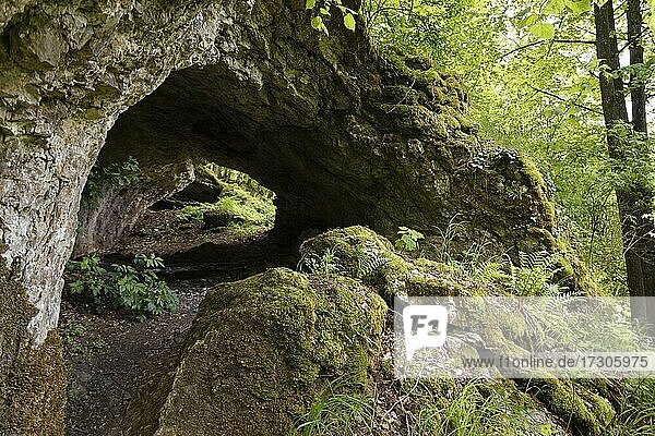 Durchgangshöhle am Kühstein  nahe Siegritz  Ortsteil von Markt Heiligenstadt  Fränkische Schweiz  Oberfranken  Franken  Bayern  Deutschland  Europa