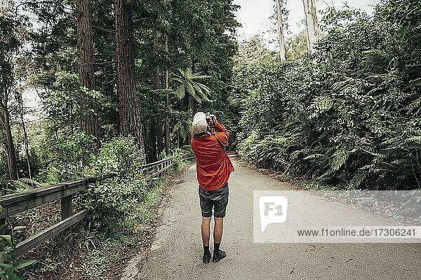 Guy with camera  Redwoods Forest  Whakarewarewa  North Island  New Zealand  Oceania