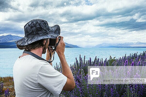 Guy with camera at a field of lupins (disambiguation)  Lake Tekapo  Canterbury region  Mackenzie District  South Island  New Zealand  Oceania