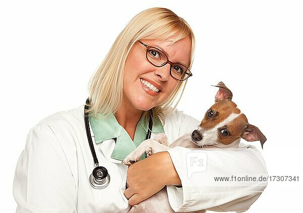 Attractive female doctor veterinarian with small puppy isolated on a white background