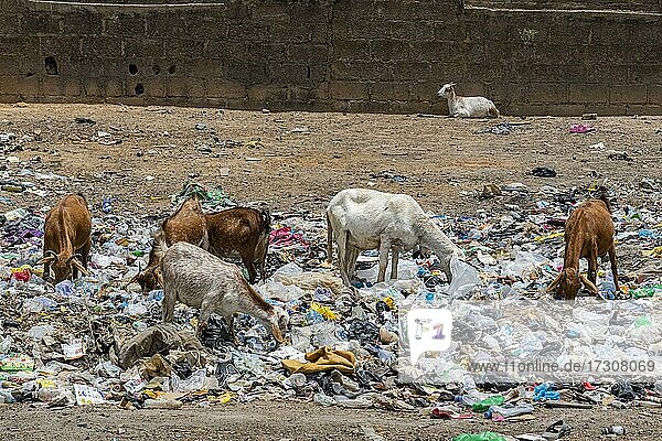 Müll auf den Straßen von Bauchi  Ost-Nigeria