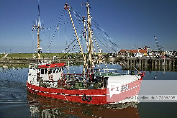 Shrimp cutter sails into the harbour  Büsum  Schleswig-Holstein  Germany  Europe