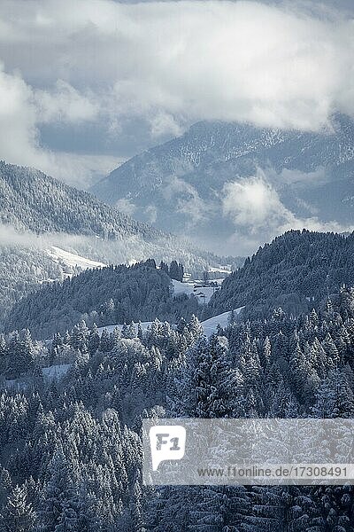 Winter  Verschneite Landschaft im Wettersteingebirge  Garmisch-Partenkirchen  Bayern  Deutschland  Europa