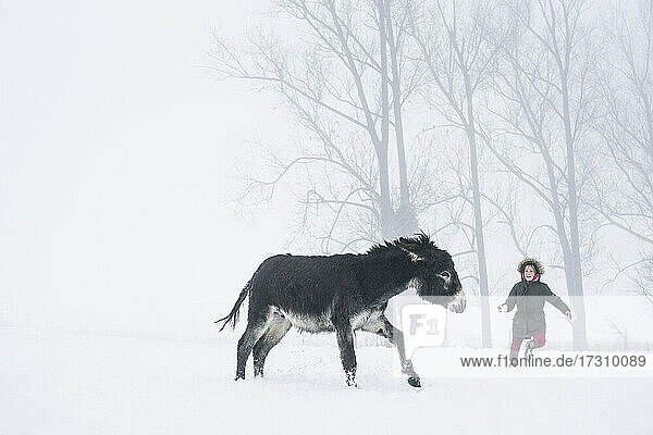 Girl playing with donkey in snowy field
