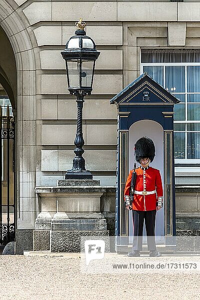 Wache vor Wachhäuschen  Wachmann der königlichen Garde mit Bärenfellmütze  Buckingham Palast  London  England  Großbritannien  Europa