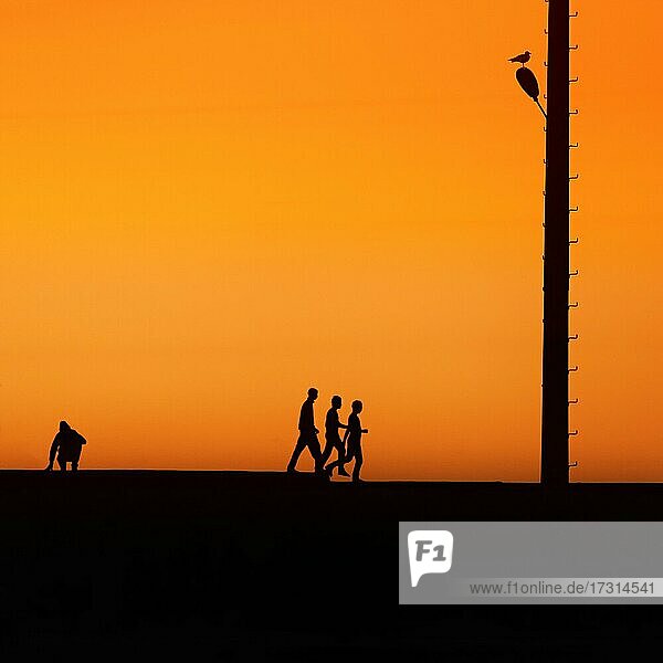 Men on a wall in the harbour  silhouettes at sunset  three walking in step  one sitting in a squat  Essaouira  Atlantic coast  Marrakech-Safi  Morocco  Africa