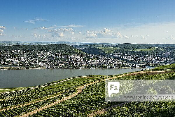 Blick auf den Rhein vom Niederwalddenkmal  Unesco-Welterbe Mittelrheintal  Deutschland  Europa