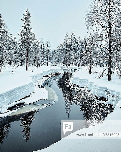 Icy river with spruces and snow  Rovaniemi  Finland  Europe