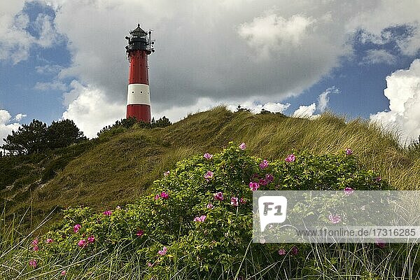 Lighthouse  Hoernum  Sylt  North Frisia  Schleswig-Holstein  Germany  Europe