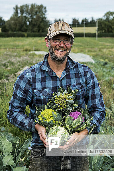 Farmer with a selection of freshly picked cauliflowers.