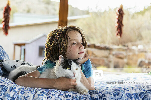 Junge liegt auf einem Bett im Freien und streichelt eine Hauskatze