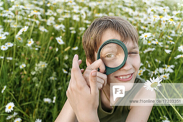 Smiling boy playing with magnifying glass in chamomile field