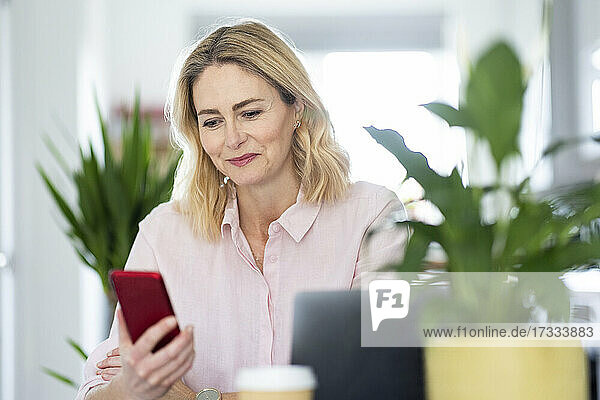 Lächelnde Geschäftsfrau  die im Büro zu Hause ein Smartphone benutzt