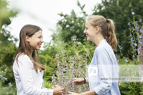 Glückliche junge Frauen sehen sich an  während sie eine blühende Pflanze berühren