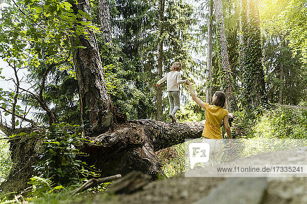 Mutter hält die Hand ihrer Tochter  die auf einem umgestürzten Baum im Wald läuft