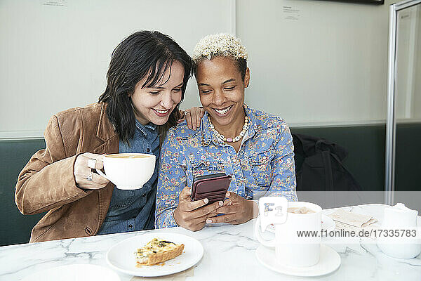 Glückliches lesbisches Paar teilt sich ein Smartphone  während es in einem Café sitzt