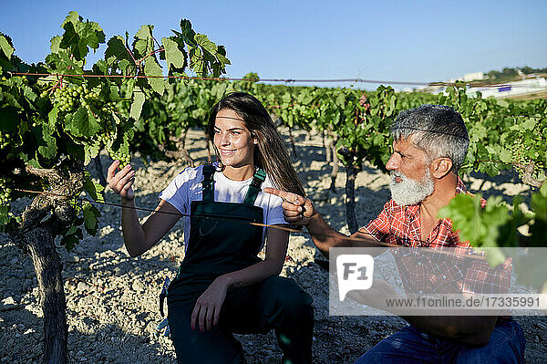 Lächelnde Bäuerin  die Trauben untersucht  während ein Mann im Weinberg gestikuliert