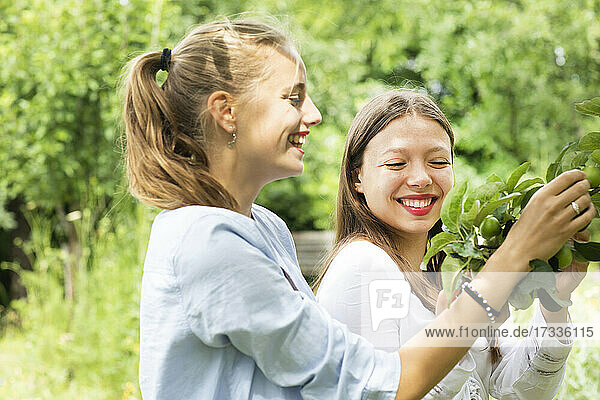 Lächelnde Freundinnen berühren Blätter im Park