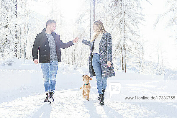 Couple holding hands while walking with dog in snow during vacation
