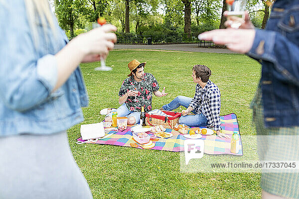 Frauen mit Getränk und Freunden auf einer Picknickdecke im Park sitzend