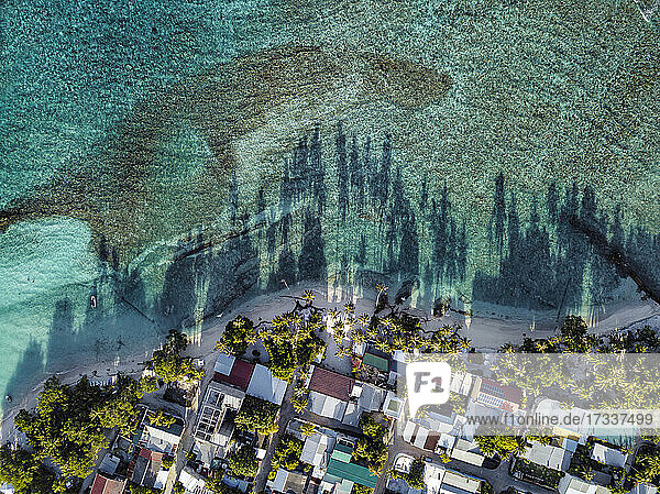 Häuser inmitten von Bäumen auf der Insel Thulusdhoo  Kaafu-Atoll  Malediven