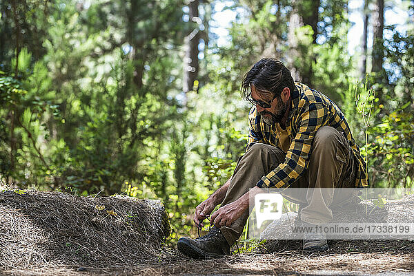 Mature man tying shoelace in forest