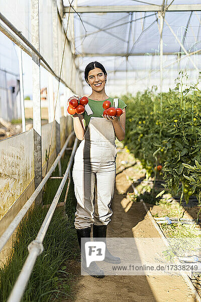 Lächelnde Bäuerin mit frischen roten Tomaten auf einem Biohof an einem sonnigen Tag