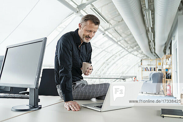 Männlicher Berufstätiger mit Kaffeetasse  der auf seinen Laptop schaut  während er im Büro sitzt